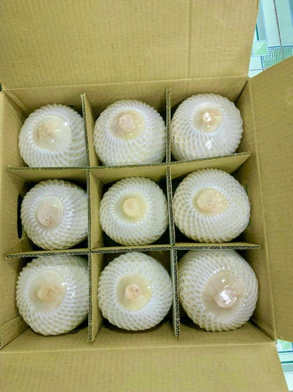 Dừa Kim Cương
