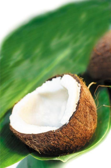 Dừa